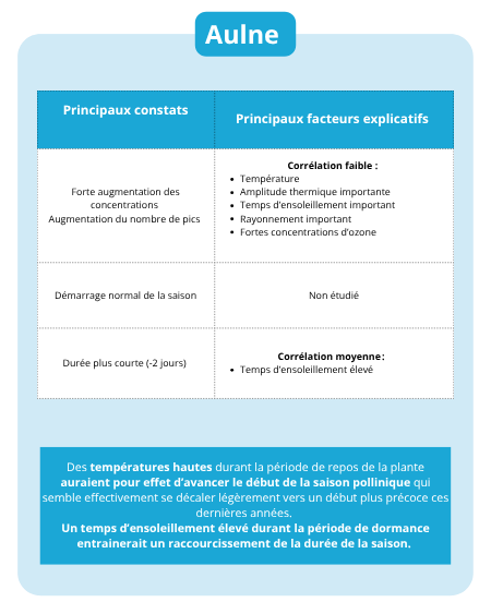 Fiche identite pollens - Aulne