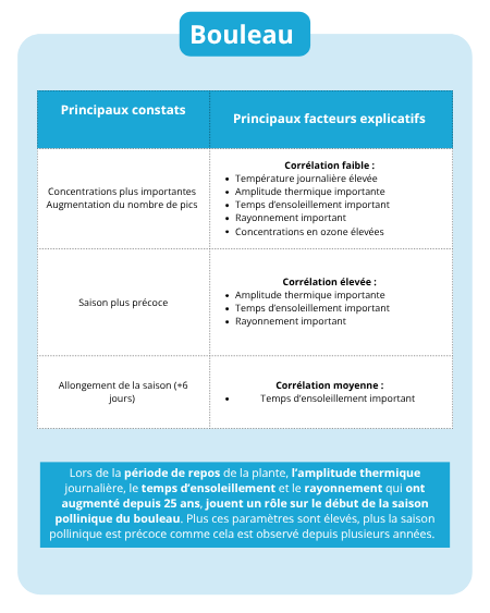 Fiche identite pollens - Bouleau