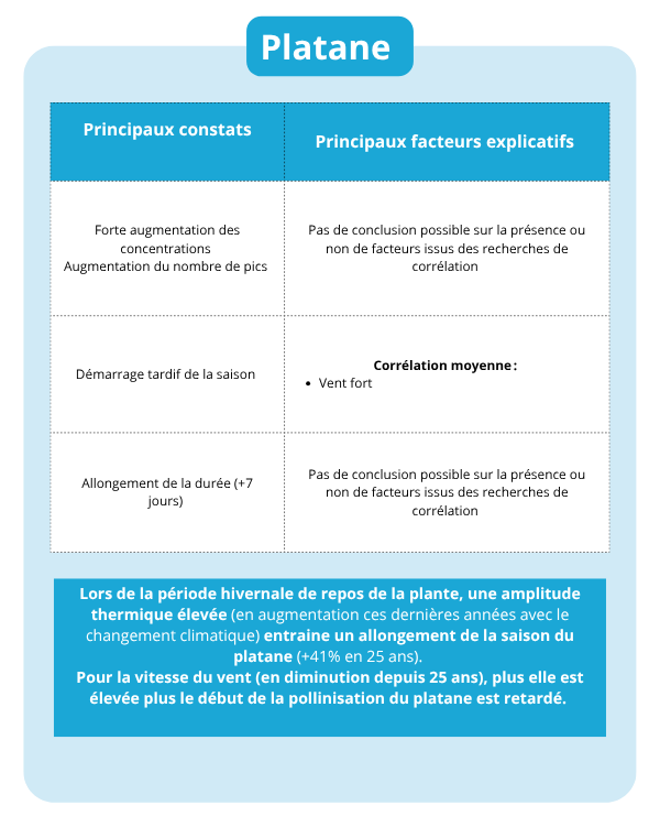 Fiche identite pollens - Platane