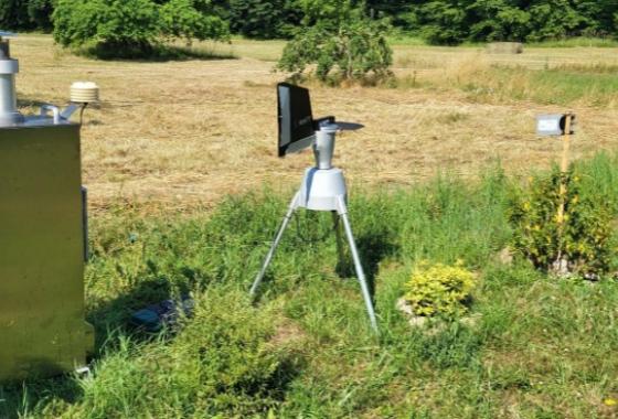 Campagne chenilles