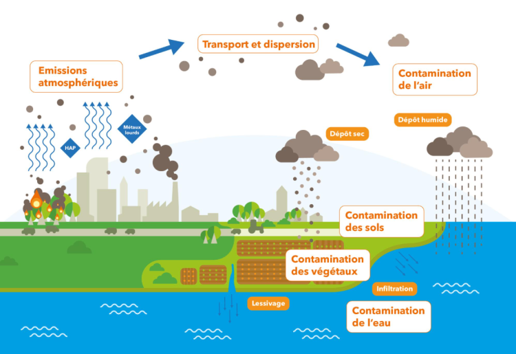 Cycle de la pollution