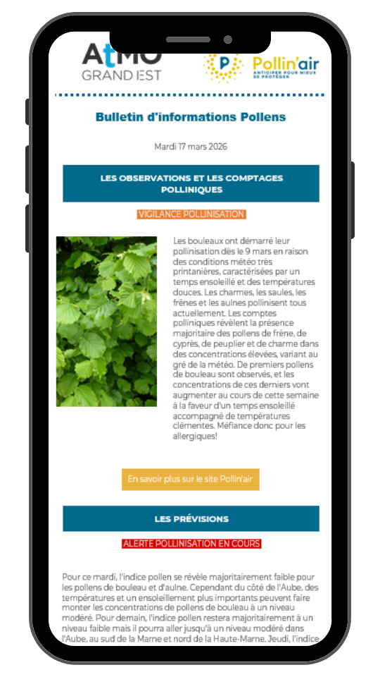 tel bulletin pollen
