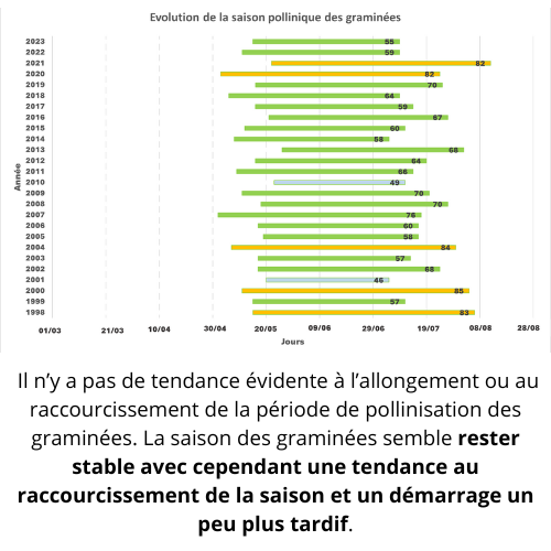 graminées