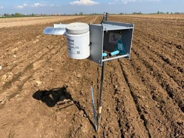 agriculture