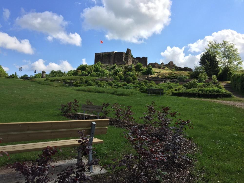 Parcours lichens pollens - Epinal