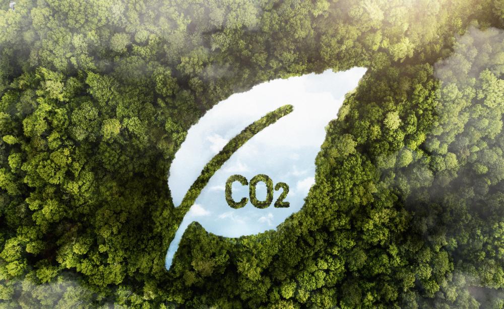 Vue aérienne d'arbres d'une forêt avec CO2 représenté