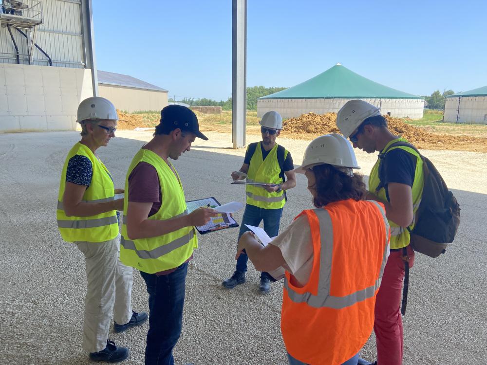 Experts langage des nez sur site