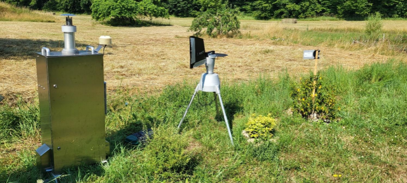Campagne chenilles
