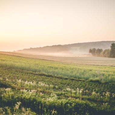 paysage