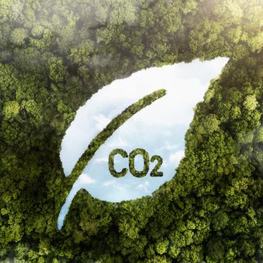 Vue aérienne d'arbres d'une forêt avec CO2 représenté 