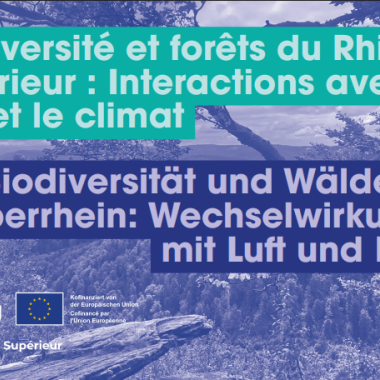 biodiversiteatmorhenaplus